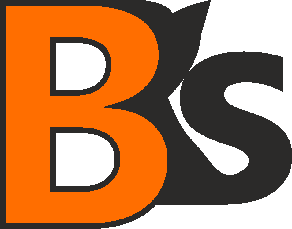 Bumiranks logo png